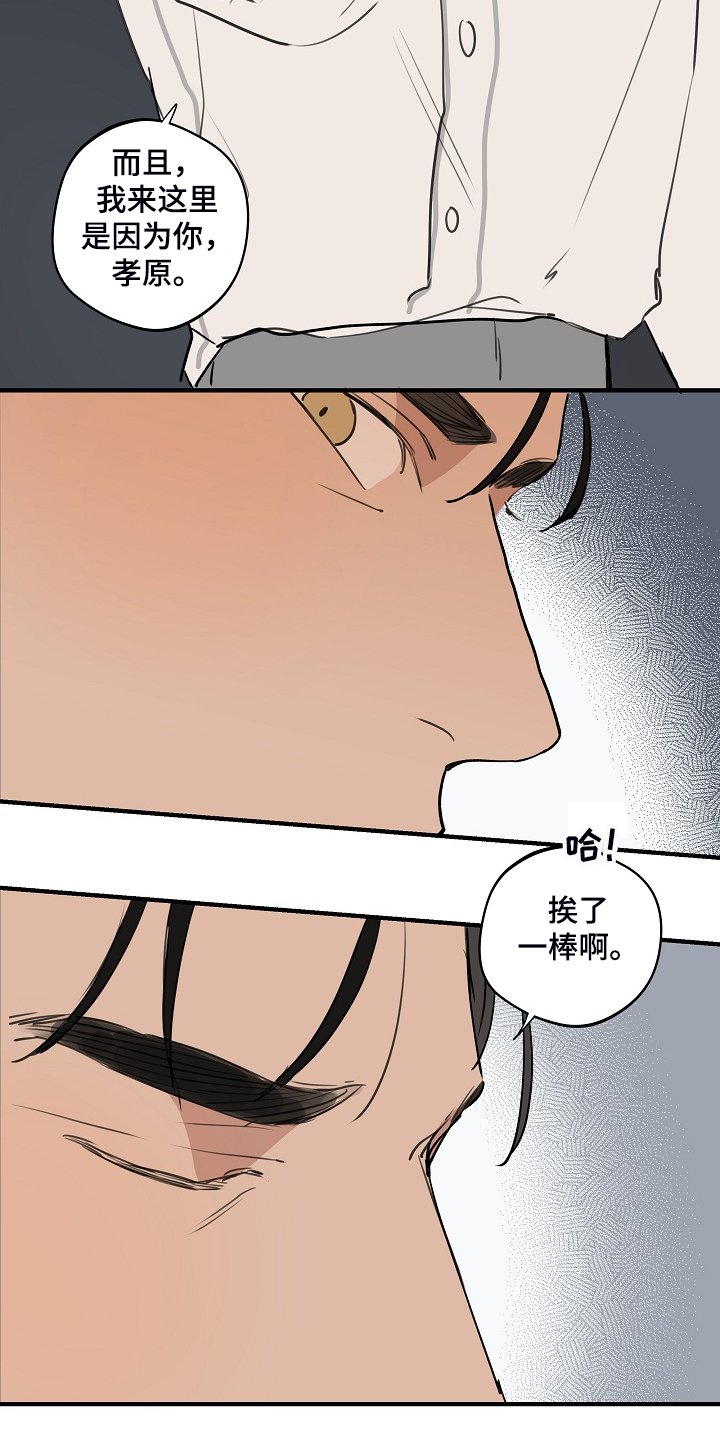 第79章：【第二季】他不是猴子