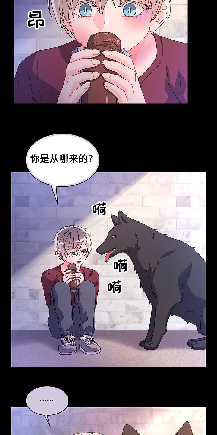 第100章：【第二季】初遇“亚瑟”