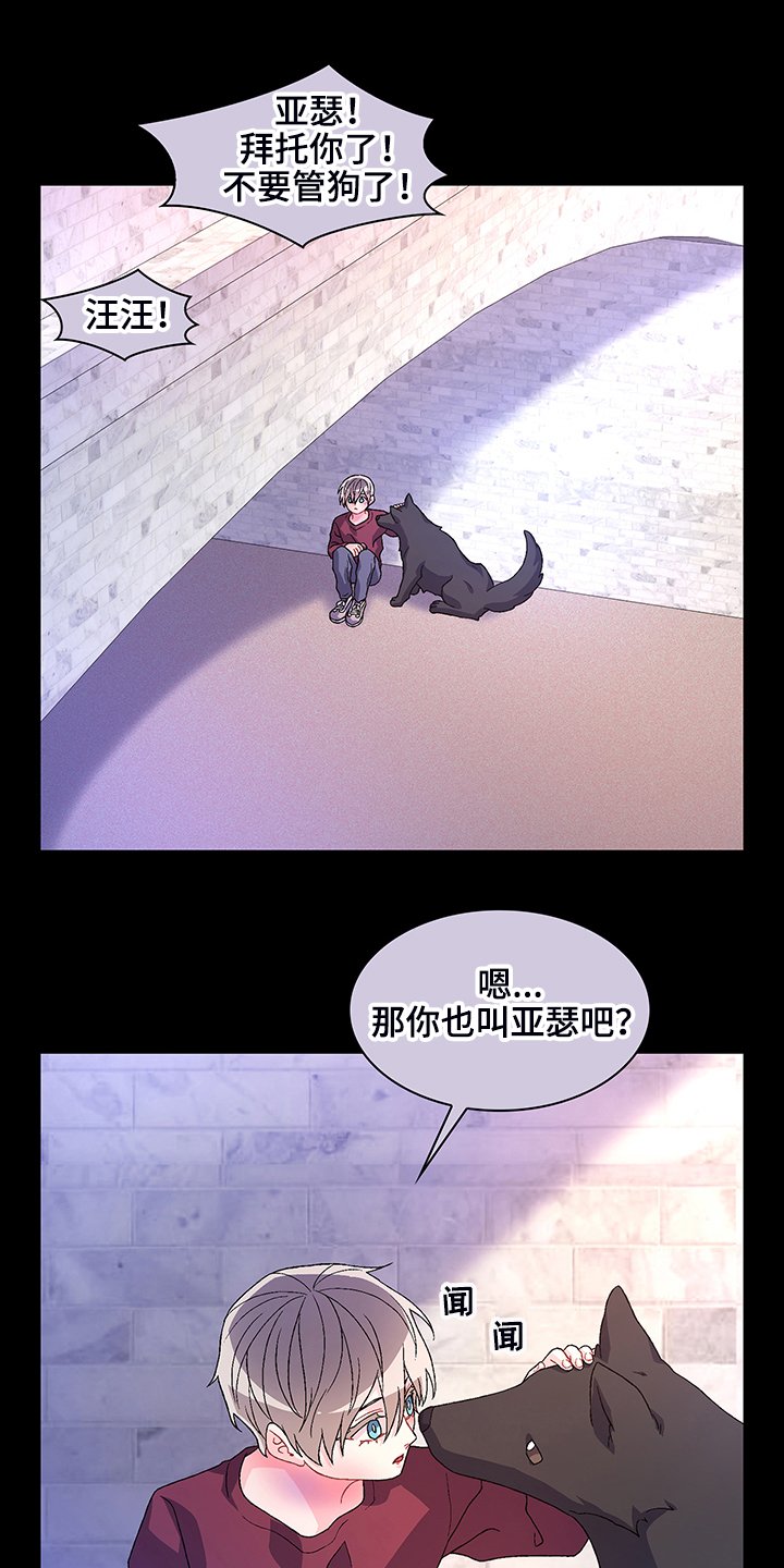 第100章：【第二季】初遇“亚瑟”