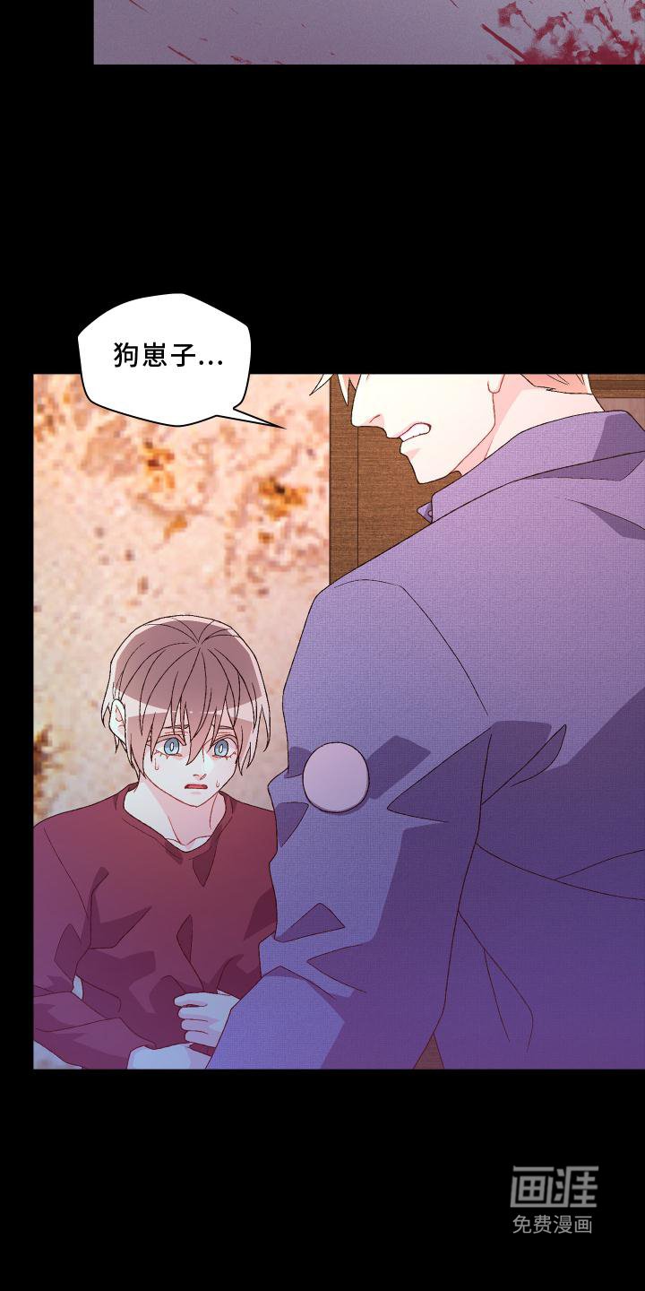 第155章：【第三季】保护