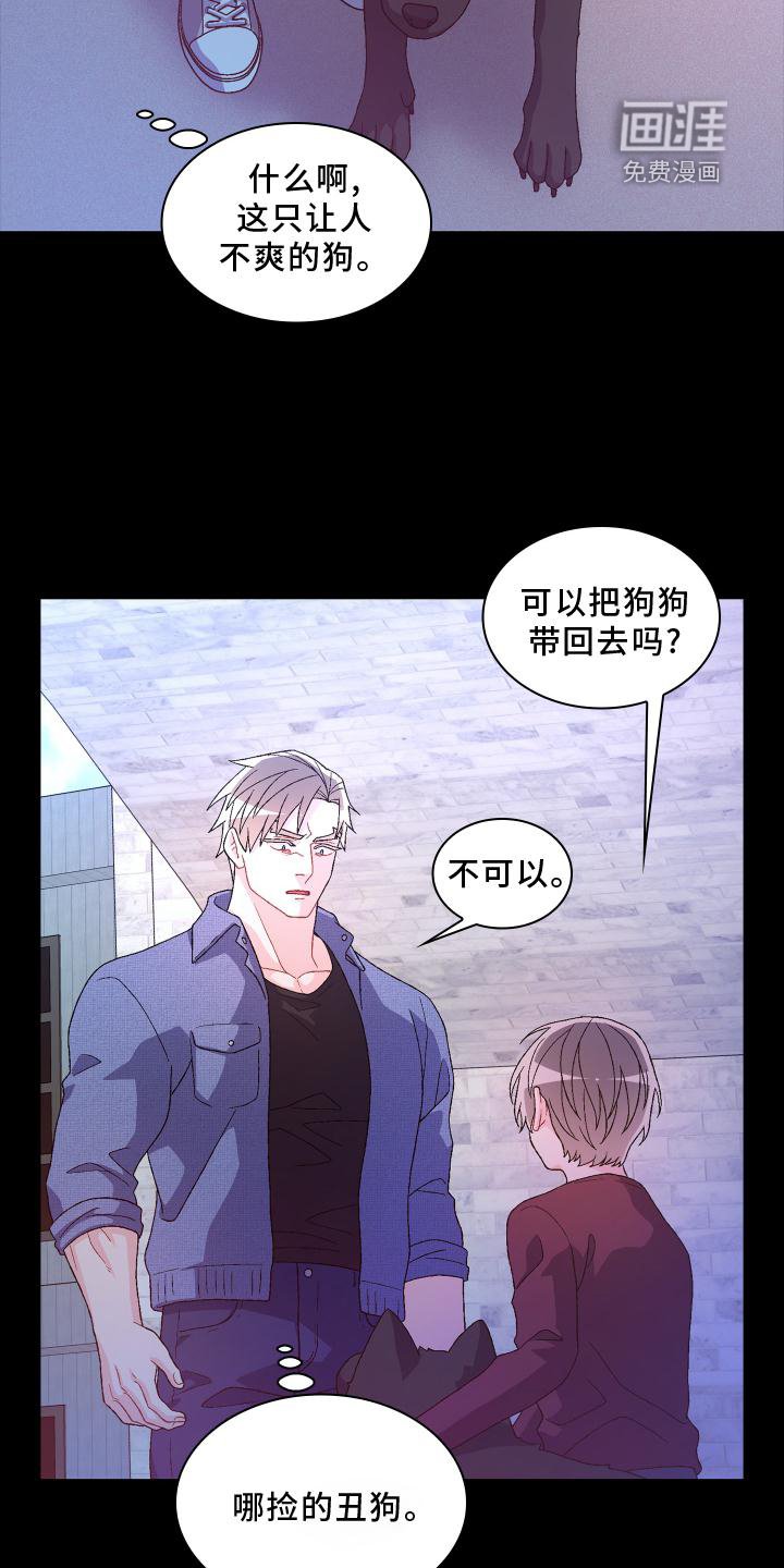 第155章：【第三季】保护