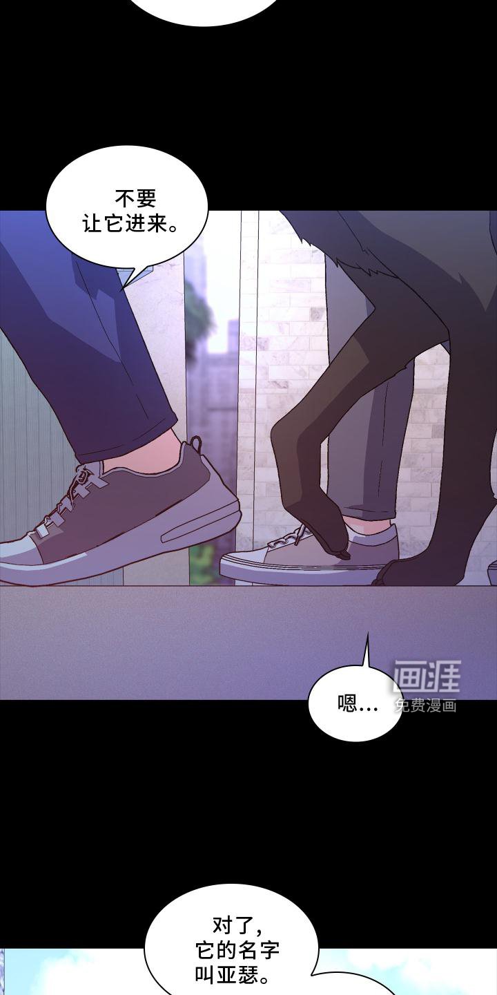 第155章：【第三季】保护