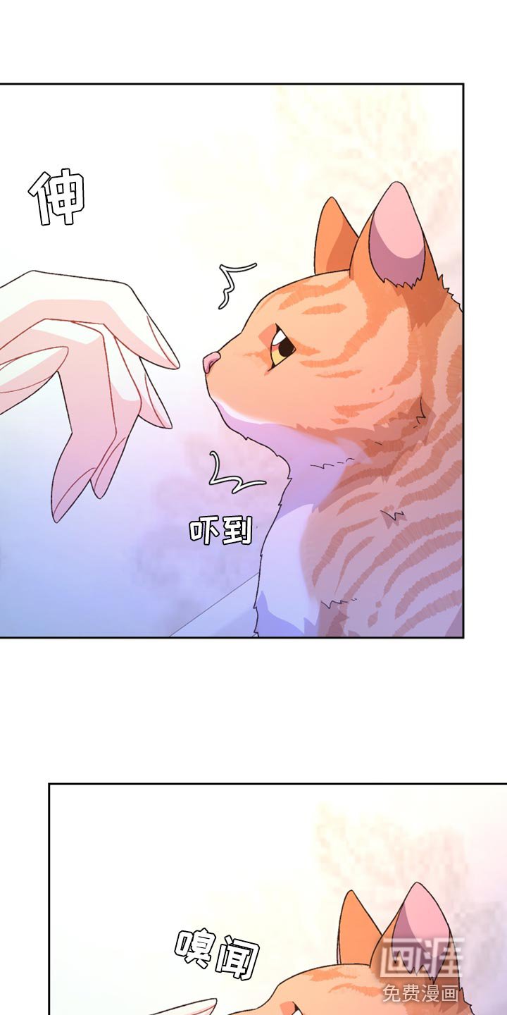 第165章：【第三季】我理解
