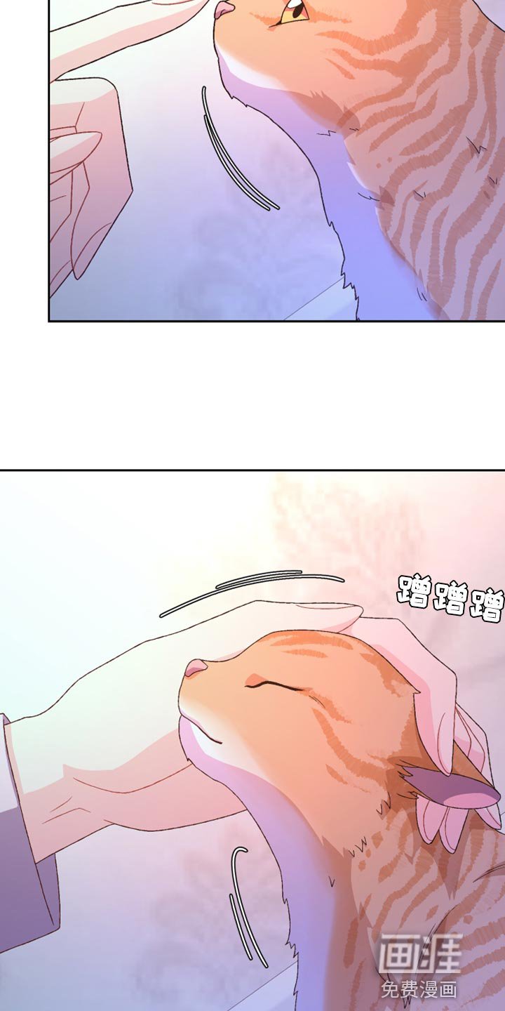 第165章：【第三季】我理解