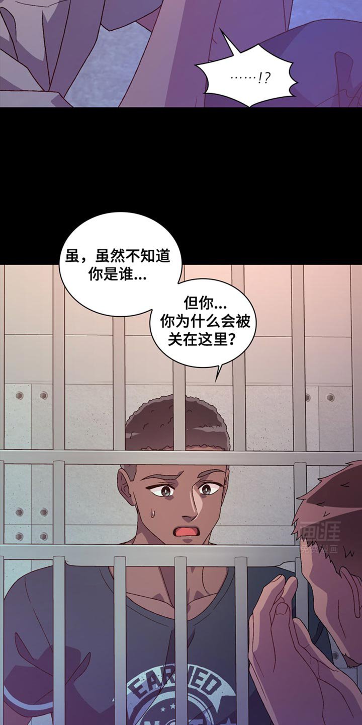第184章：【第三季】直觉