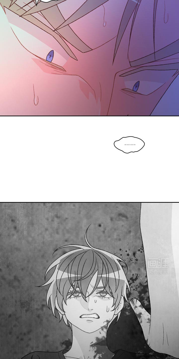 第186章：【第三季】照片