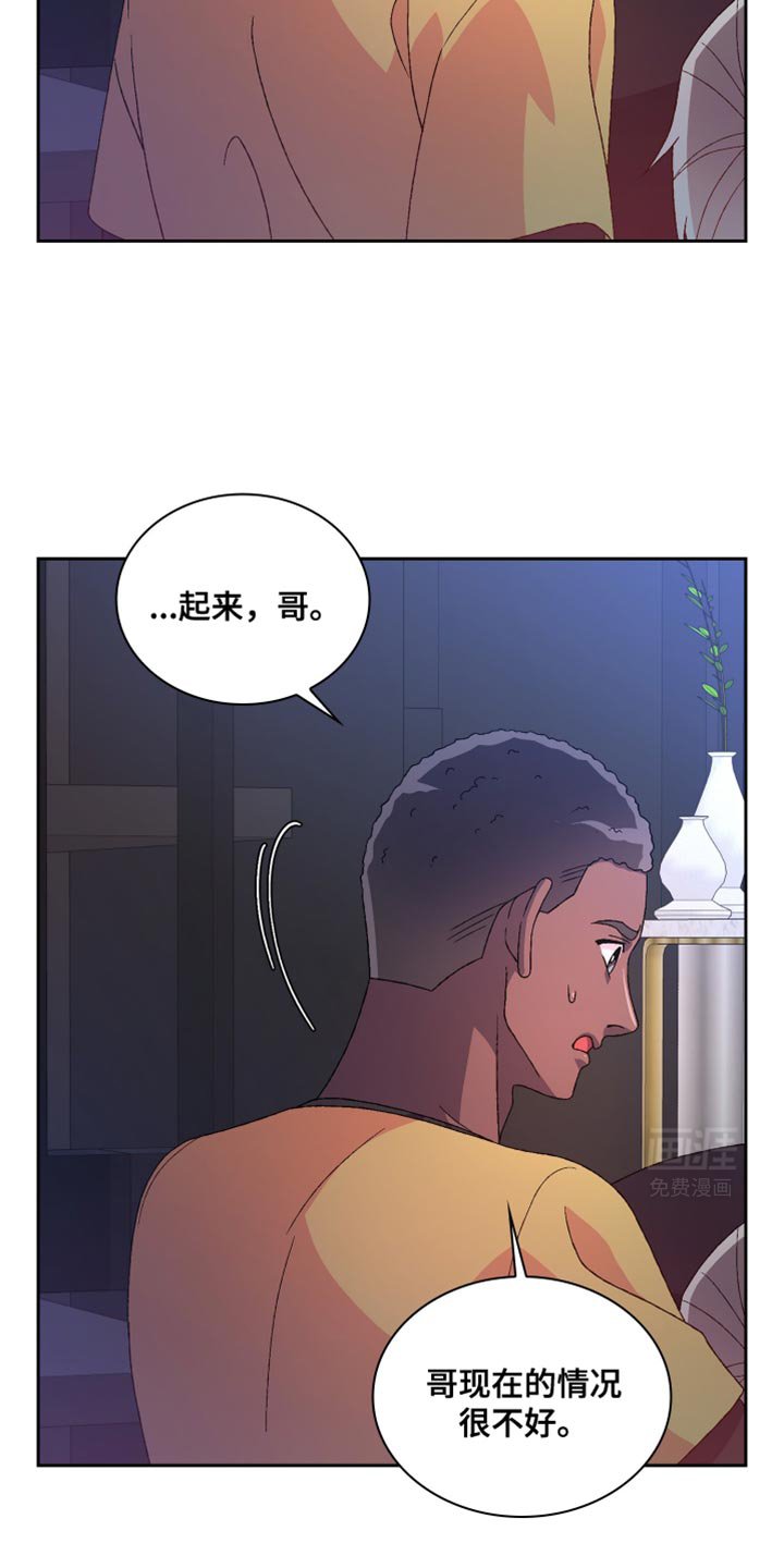 第186章：【第三季】照片