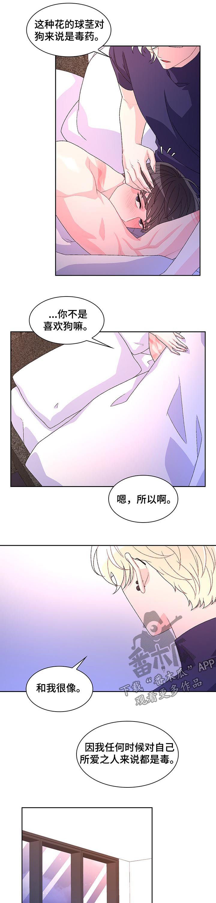 第47章：留下痕迹