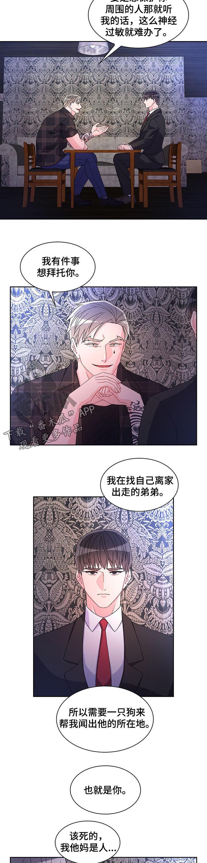 第48章：离家出走的弟弟（第一季完结）