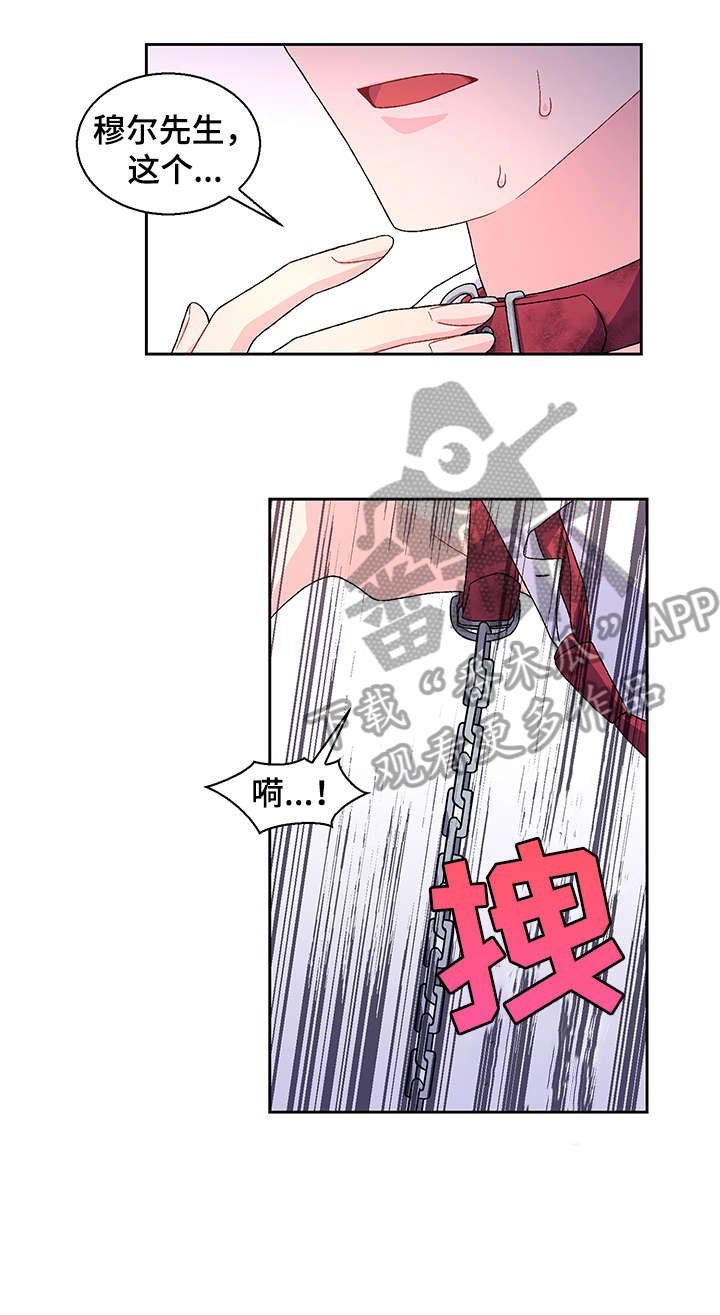 第5章：爱好