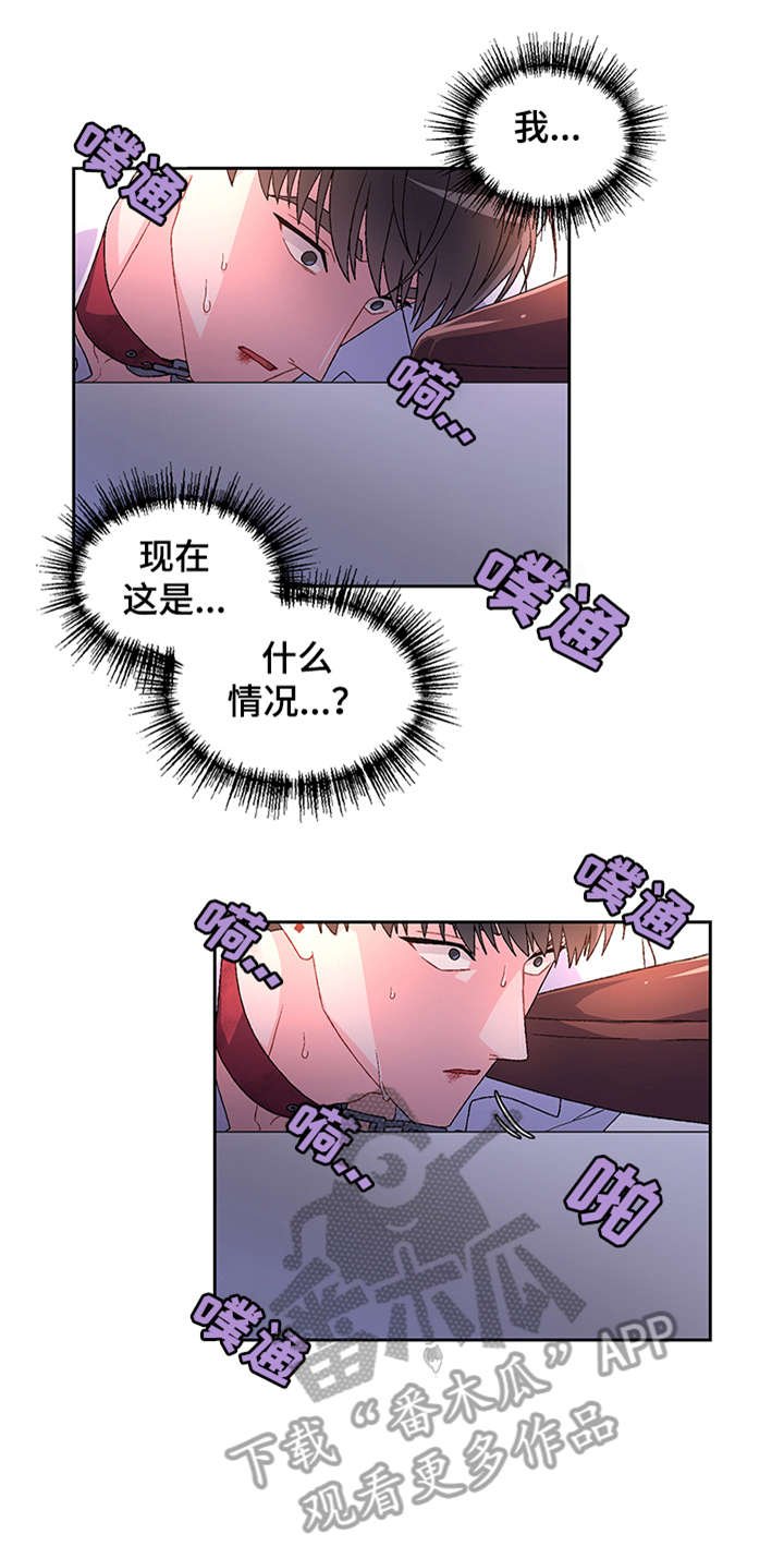 第5章：爱好