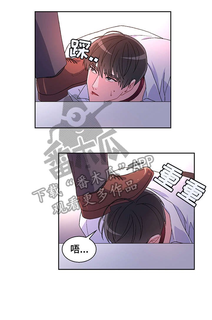 第5章：爱好