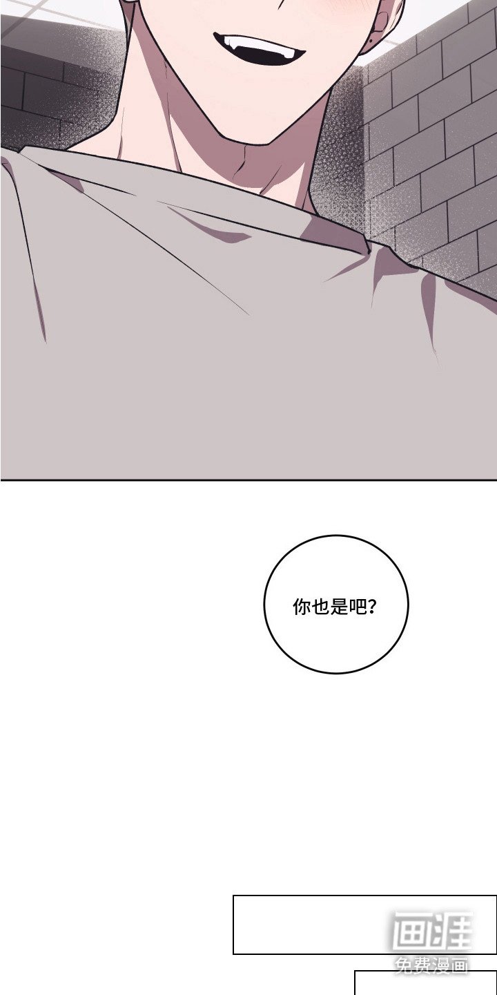 第14章：和平相处（完结）