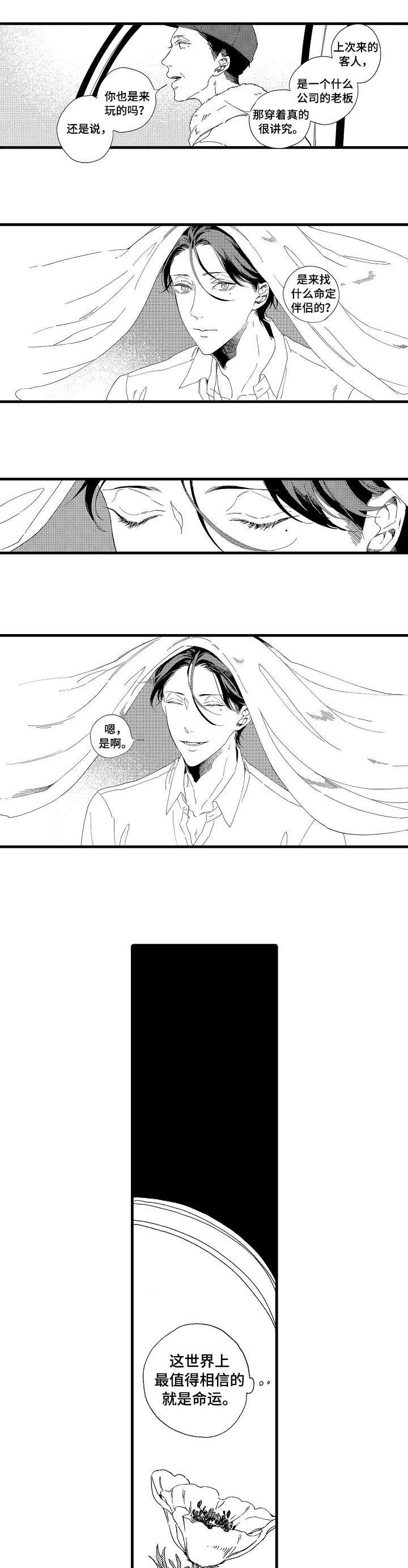 第1章：岛