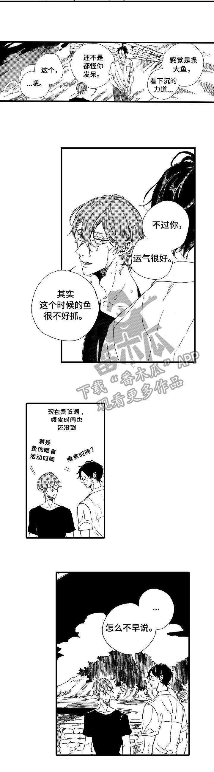 第12章：不早说