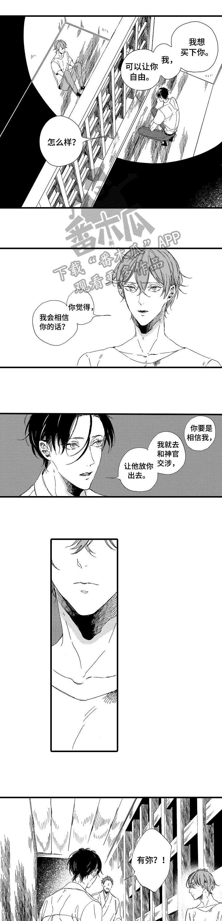第2章：双倍