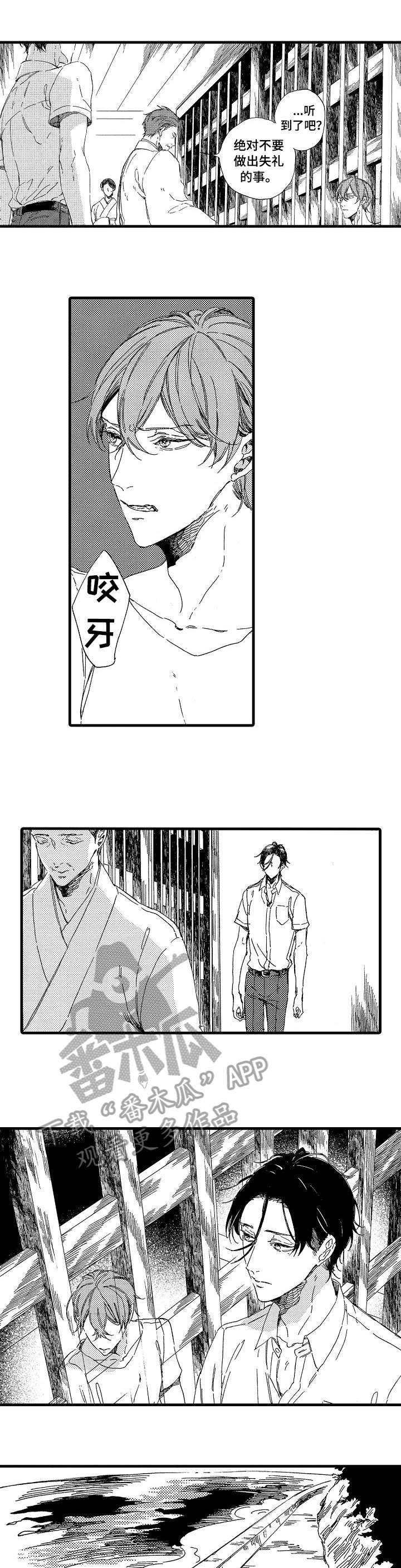第3章：特别
