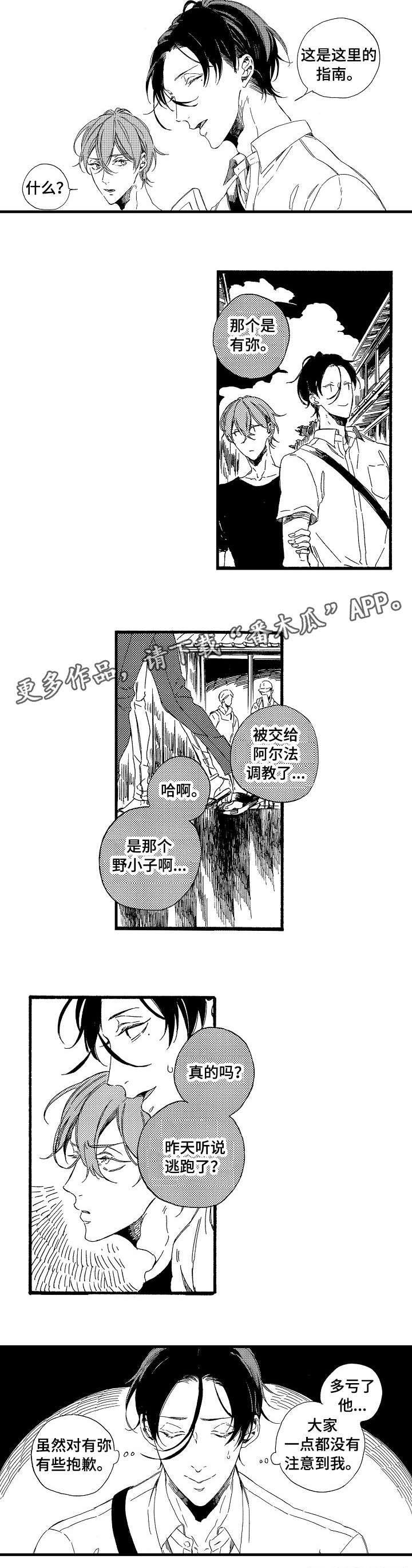 第6章：抱歉