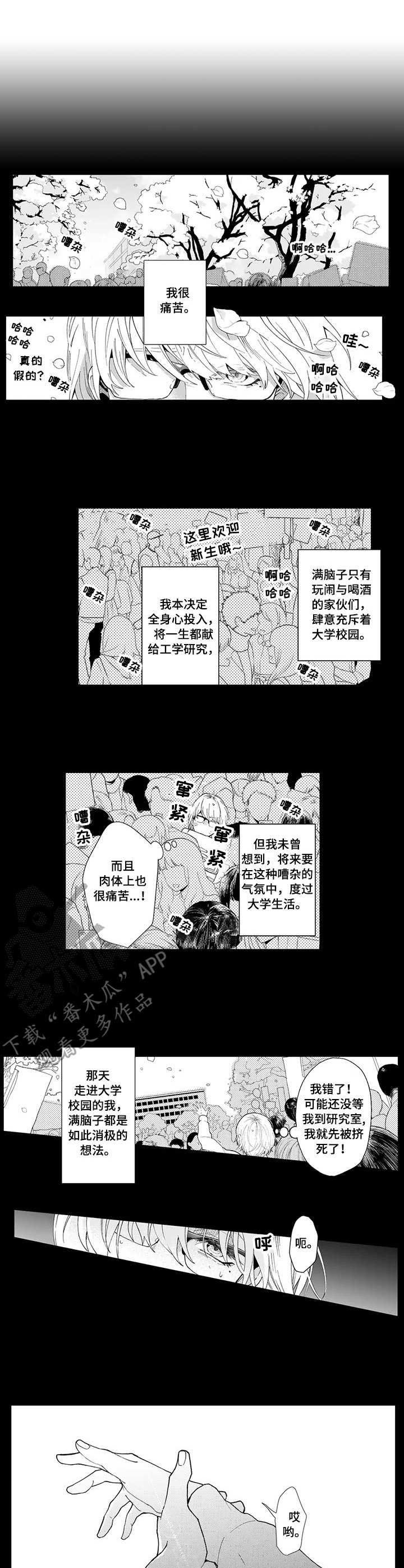 第13章：初遇