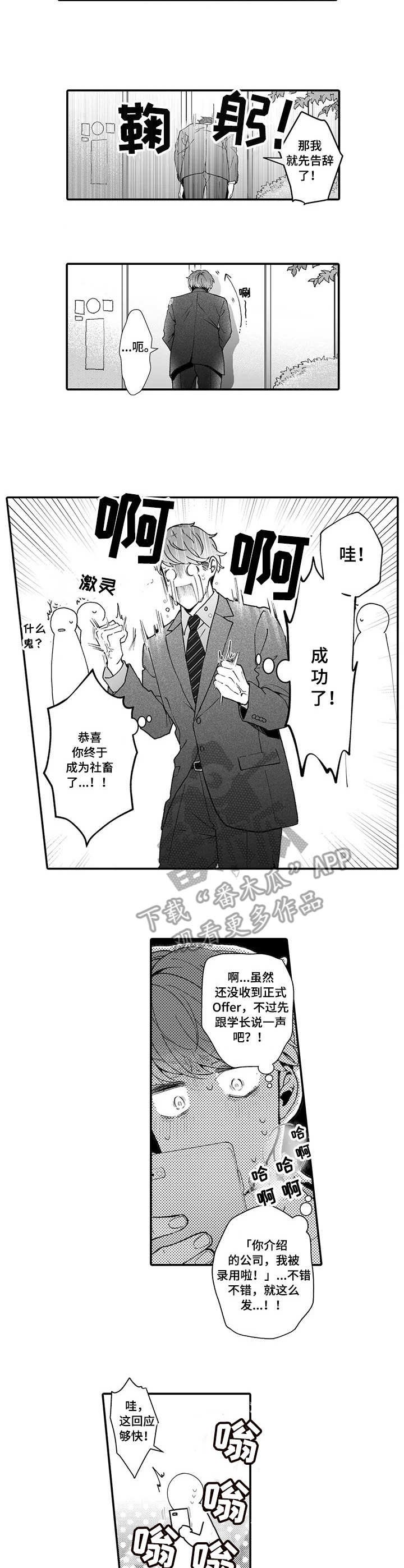 第15章：面试