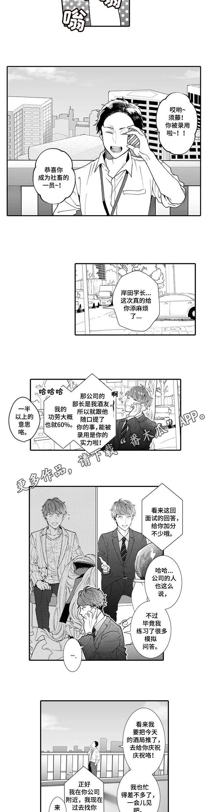 第15章：面试