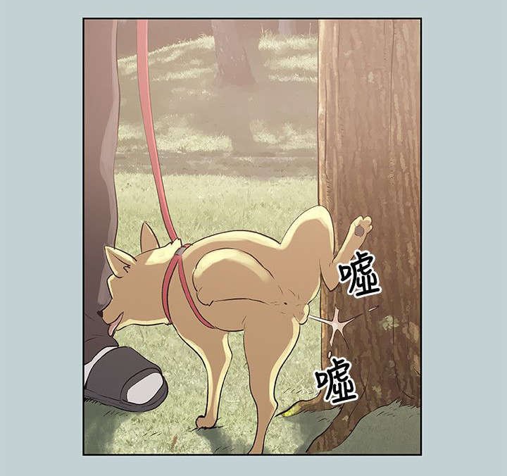 第68章：欺骗