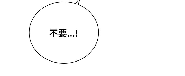 第4章：幻觉