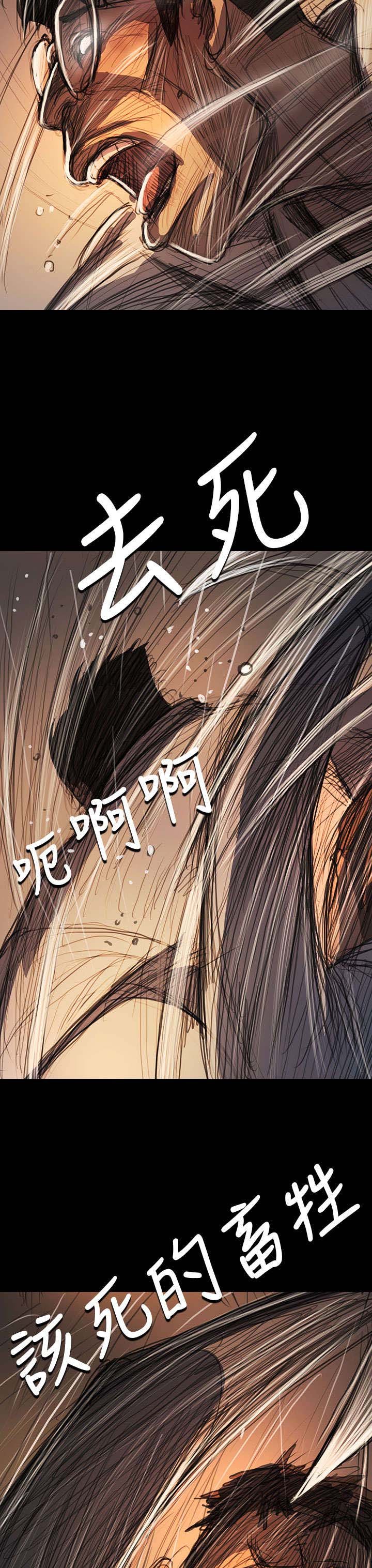 第100章：匹夫之怒