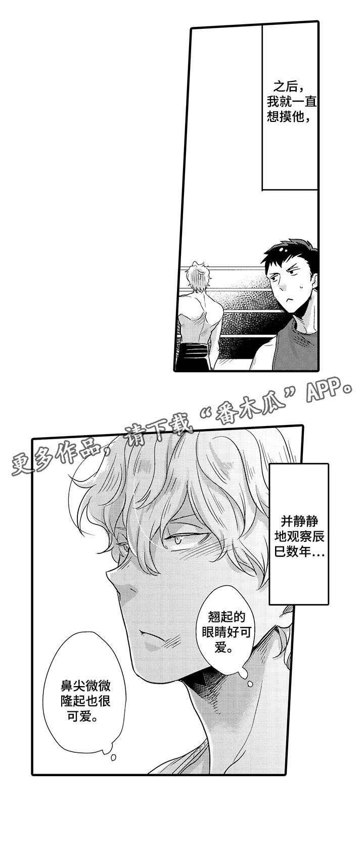 第10章：皮肤