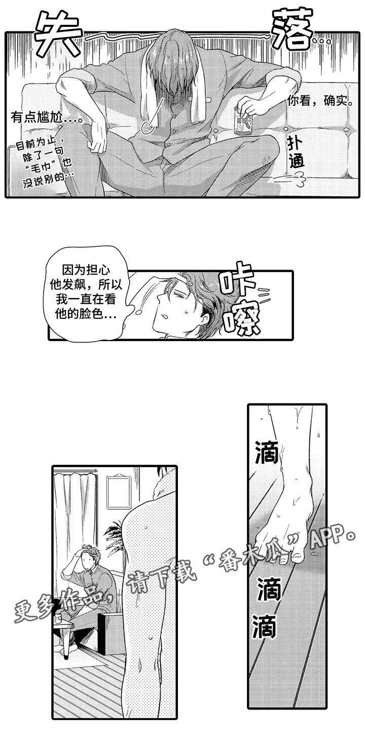 第13章：替代品