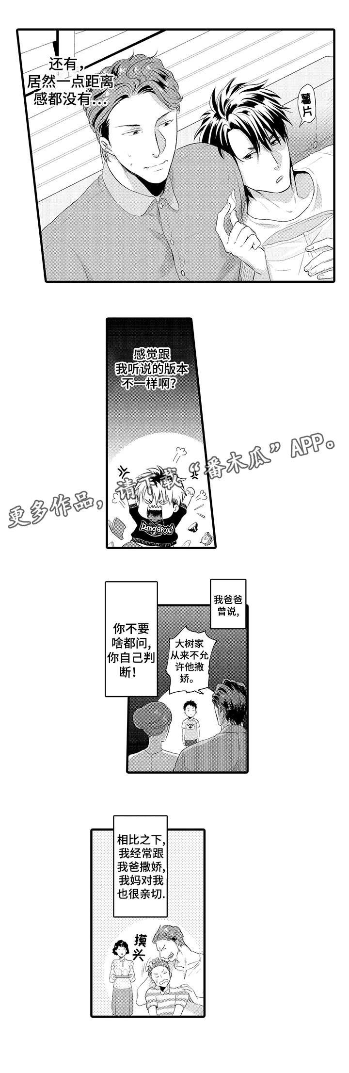 第13章：替代品