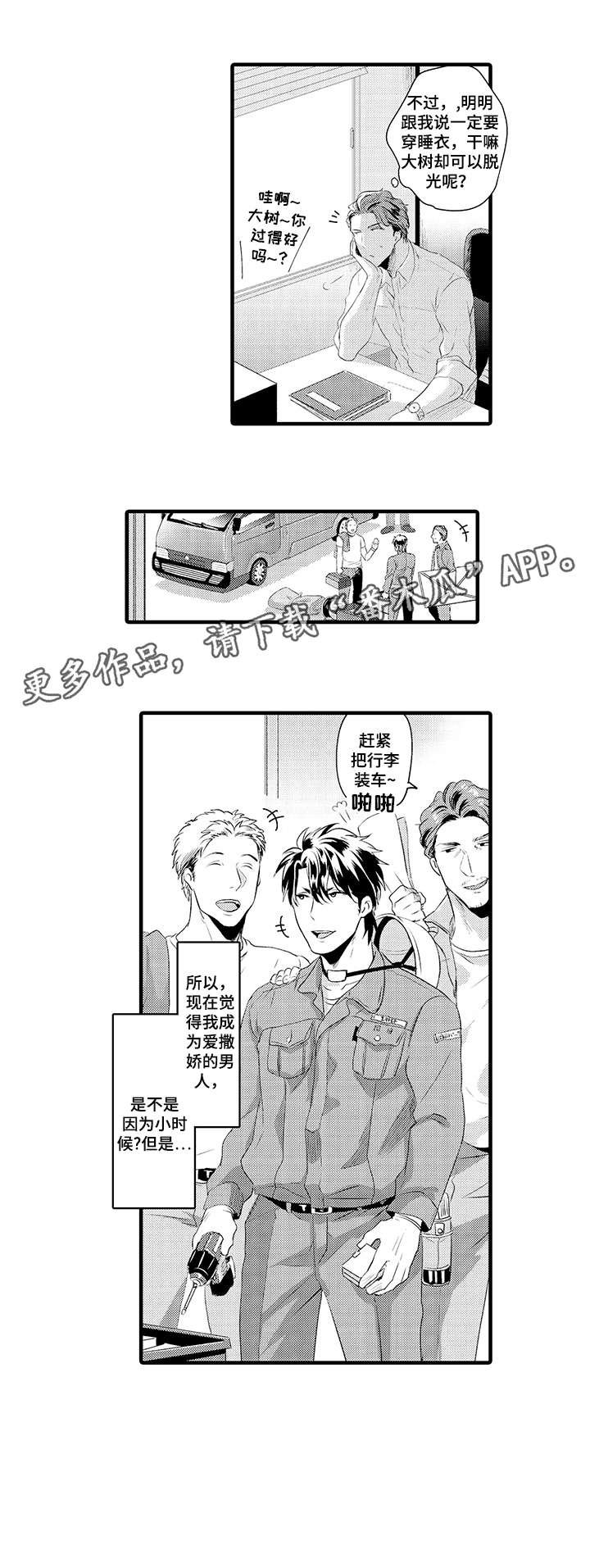 第13章：替代品