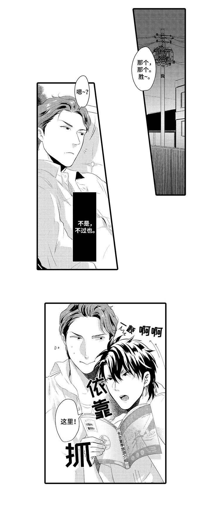 第13章：替代品