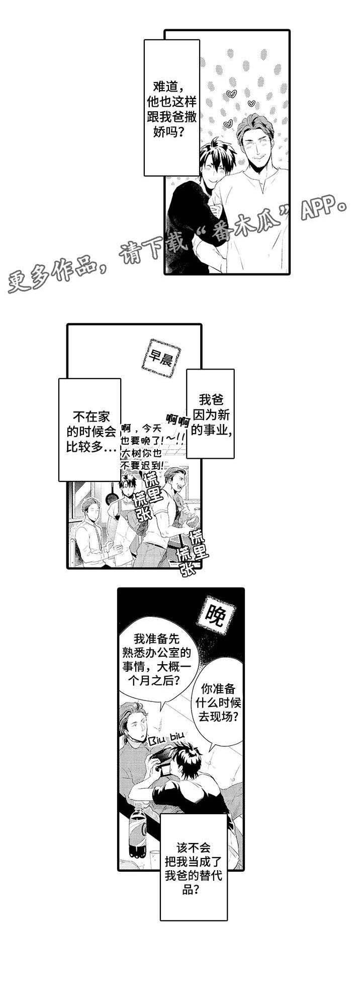 第13章：替代品