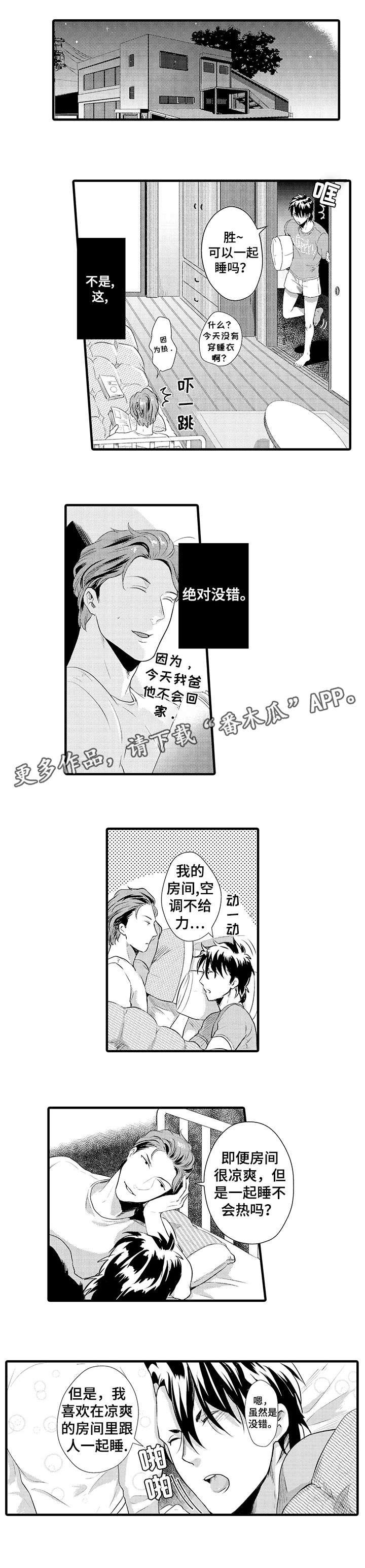 第13章：替代品