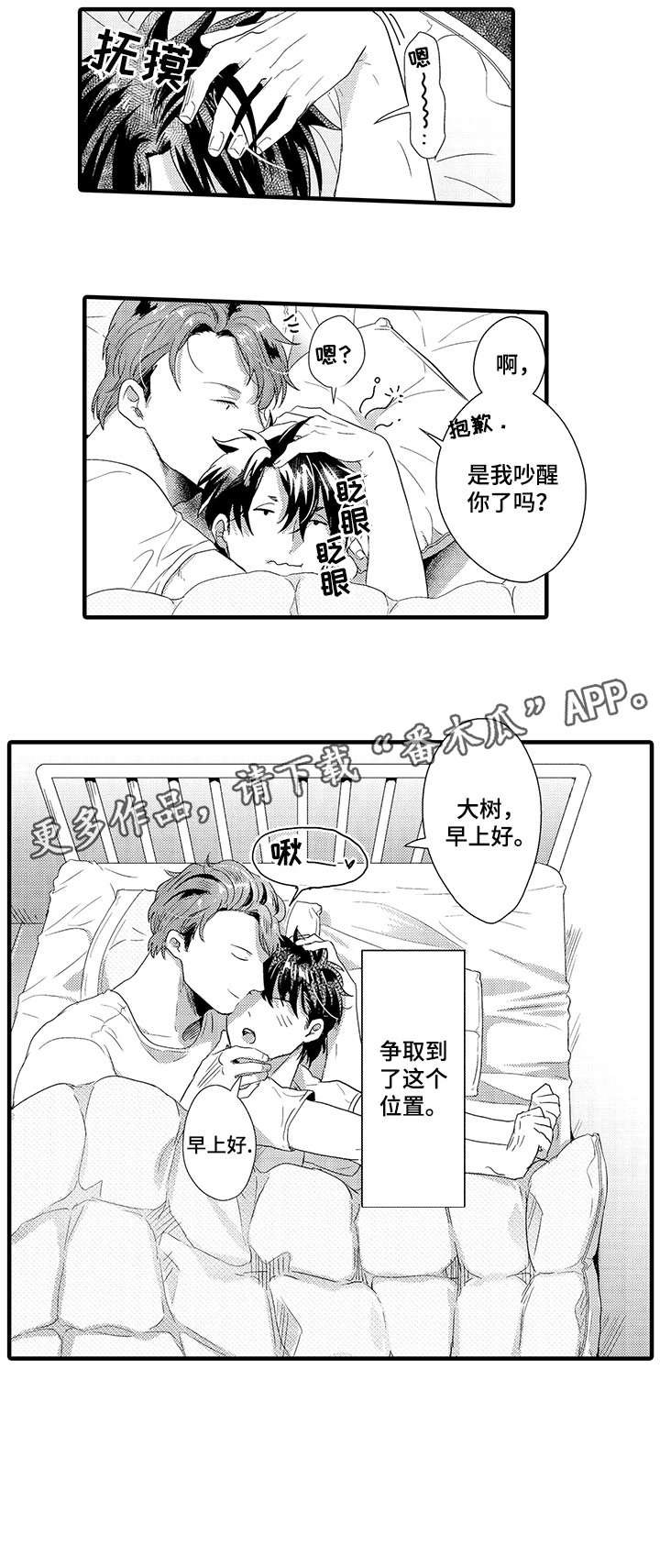 第15章：为什么