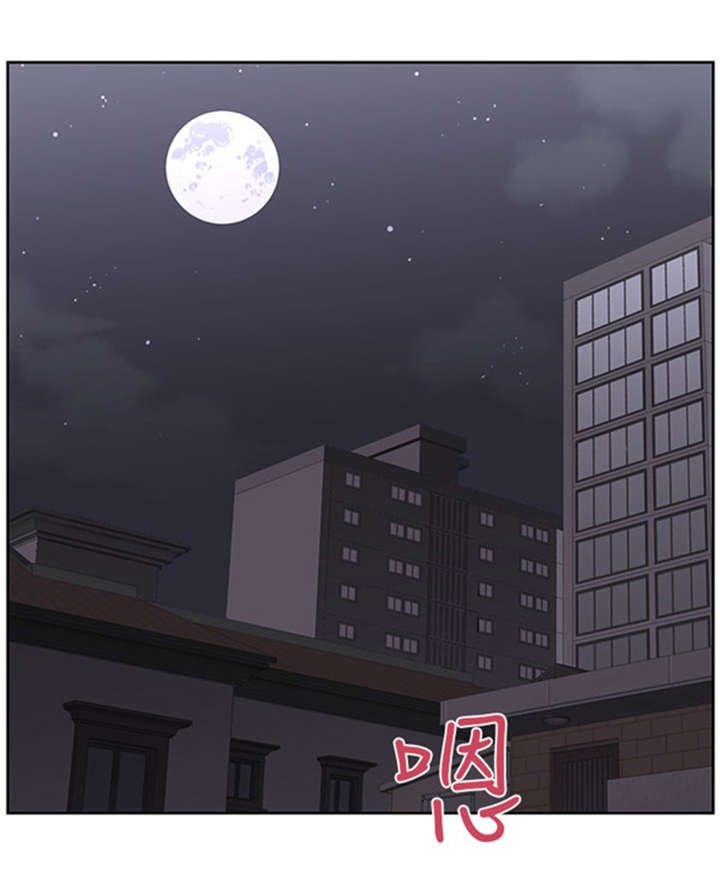 第23章：教授