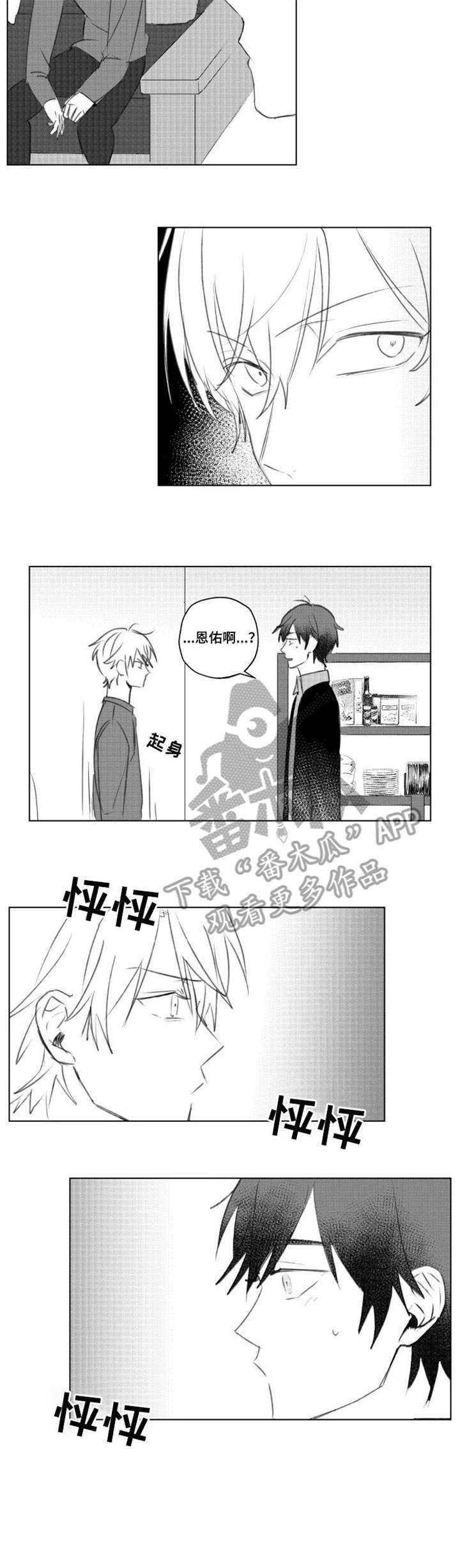 第11章：和谐