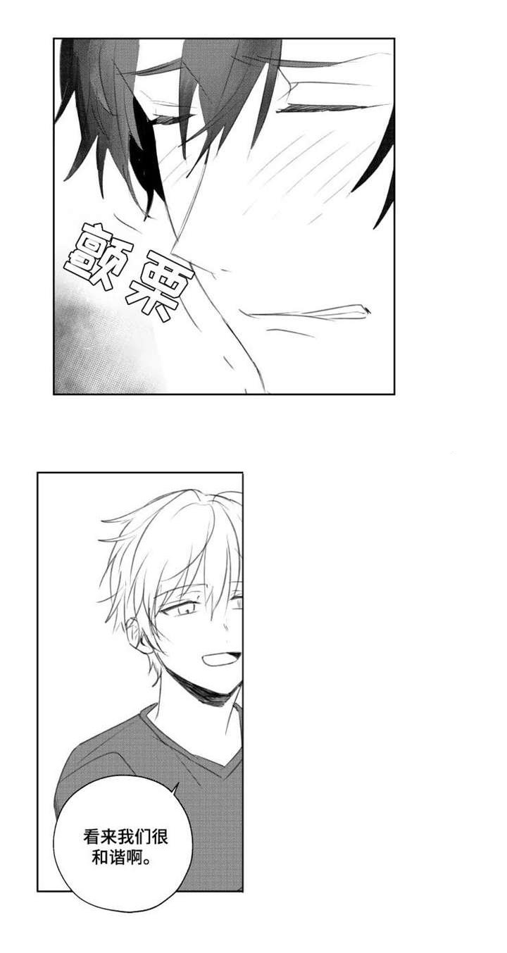 第11章：和谐