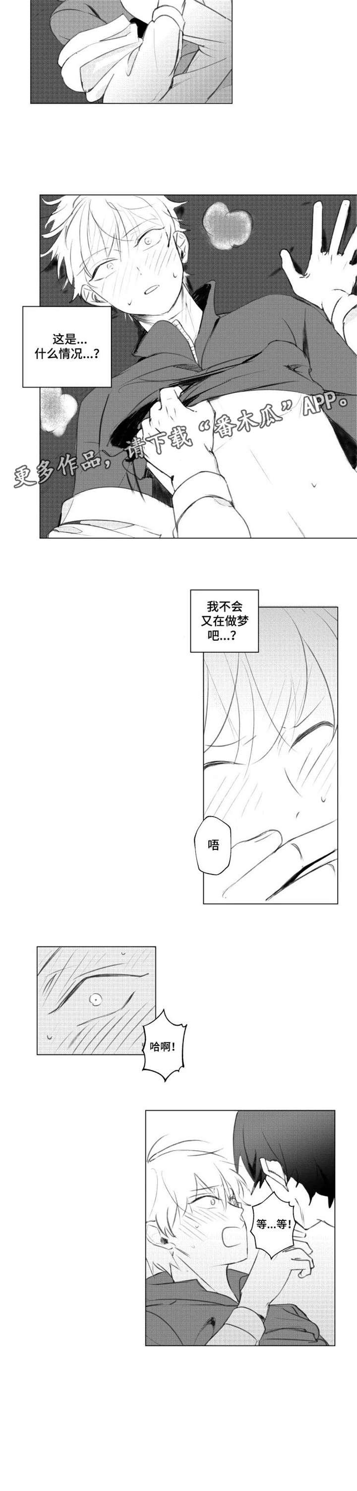 第8章：什么情况