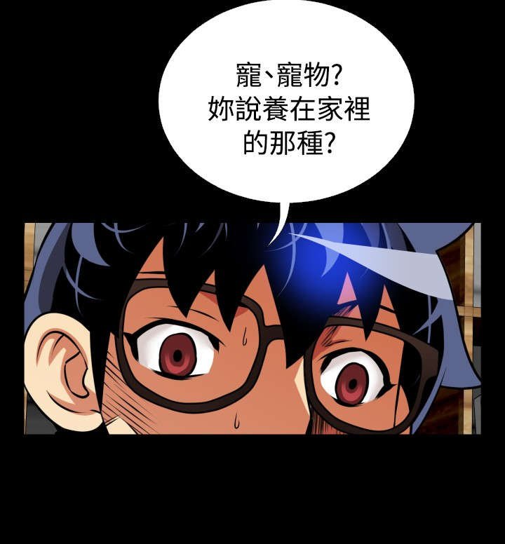 第66章：宠物