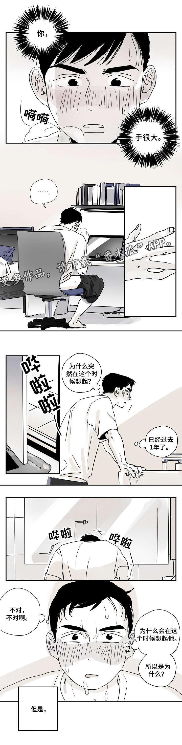 第16章：乐队