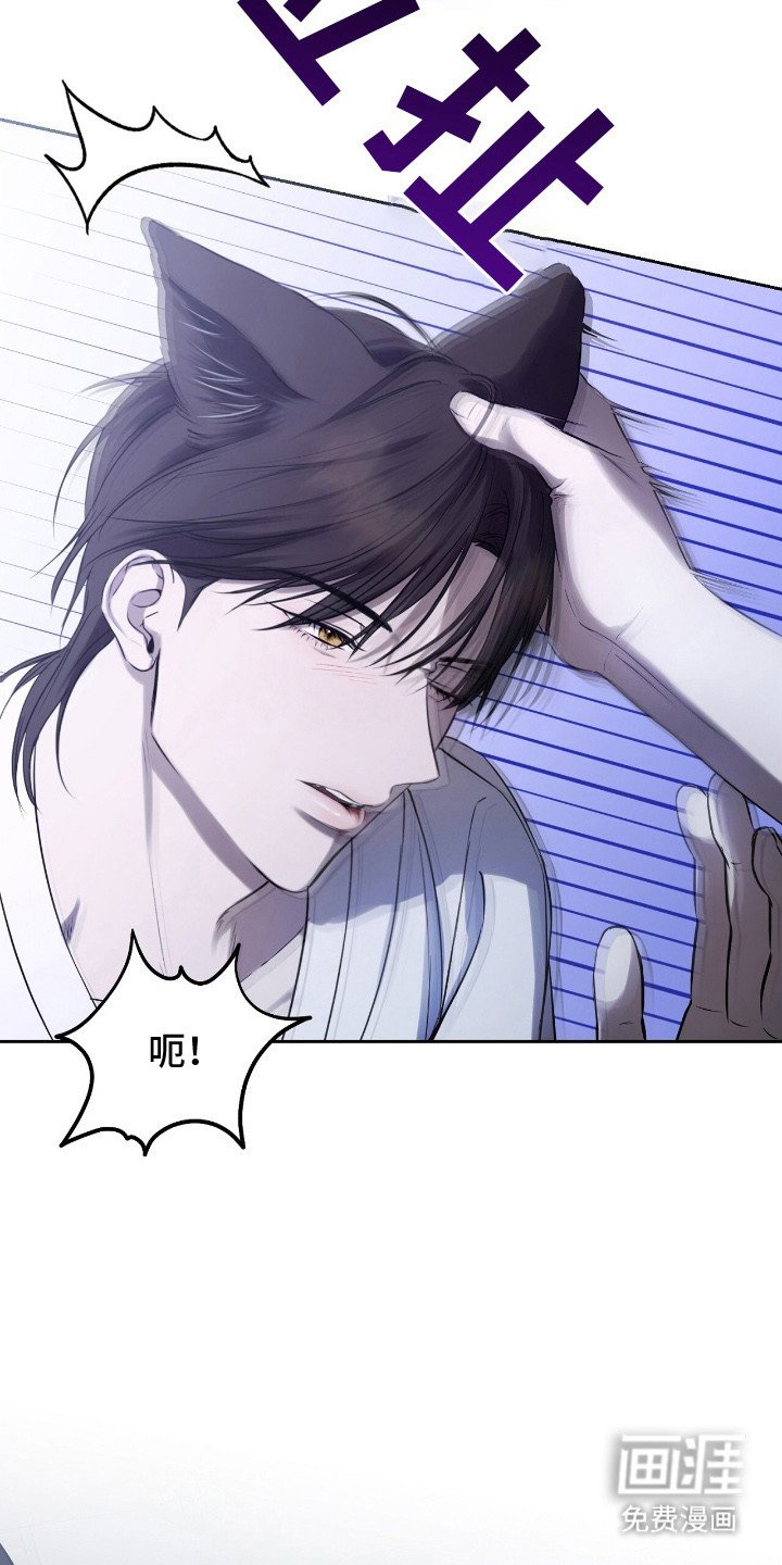第14章：同意交易