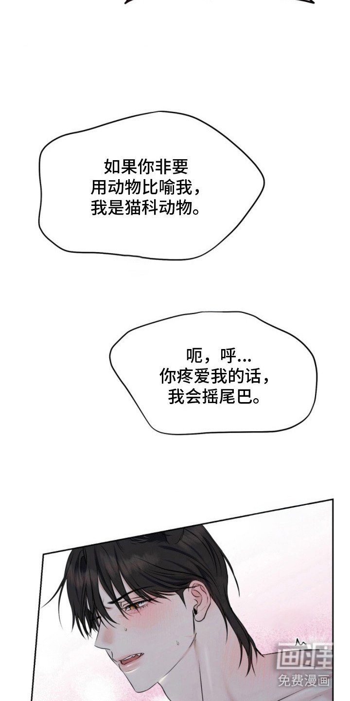 第15章：奇怪的感觉
