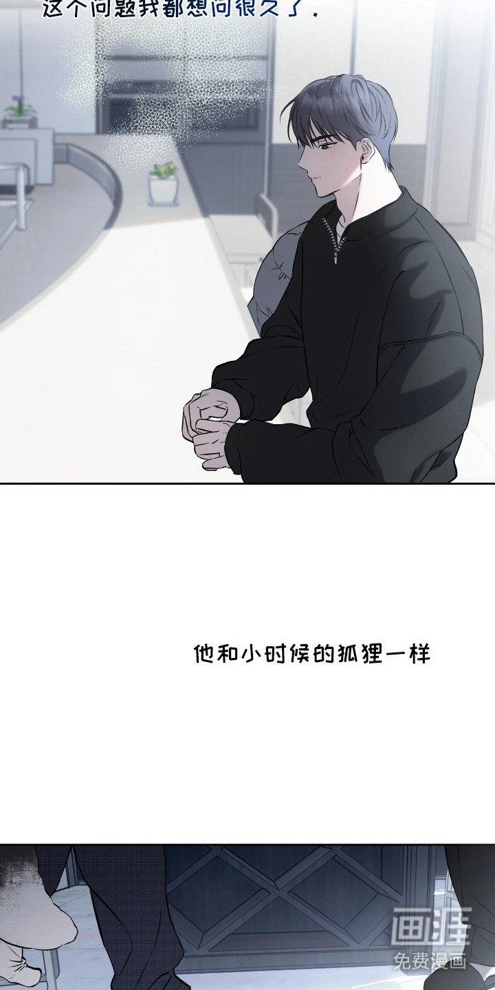 第17章：疑问