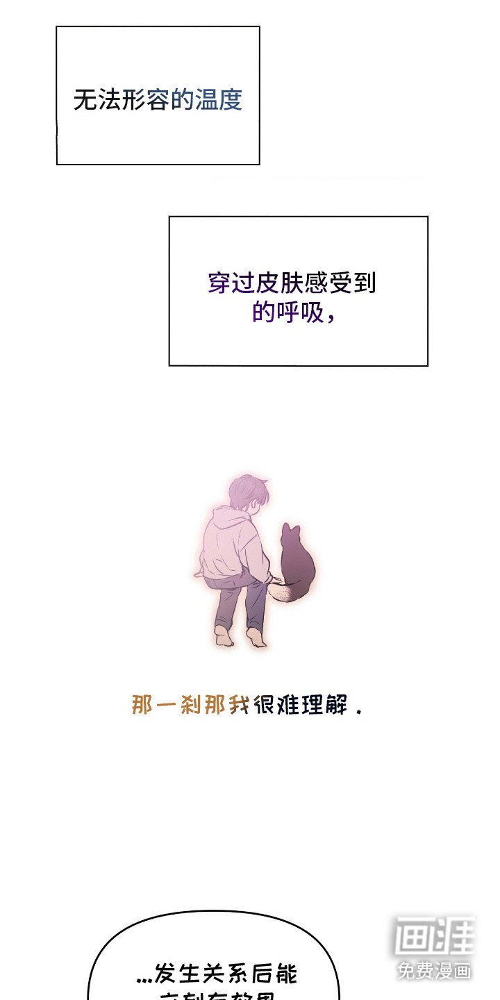 第17章：疑问