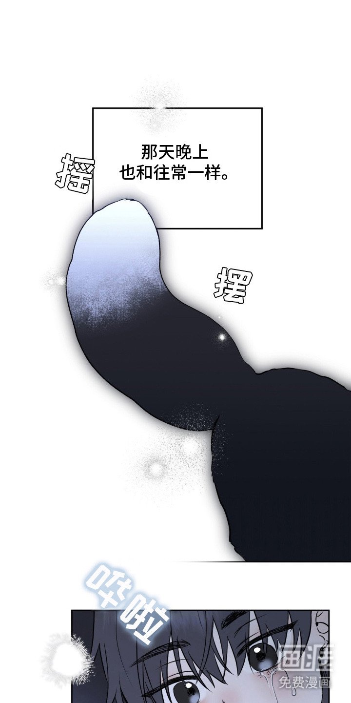 第2章：领养