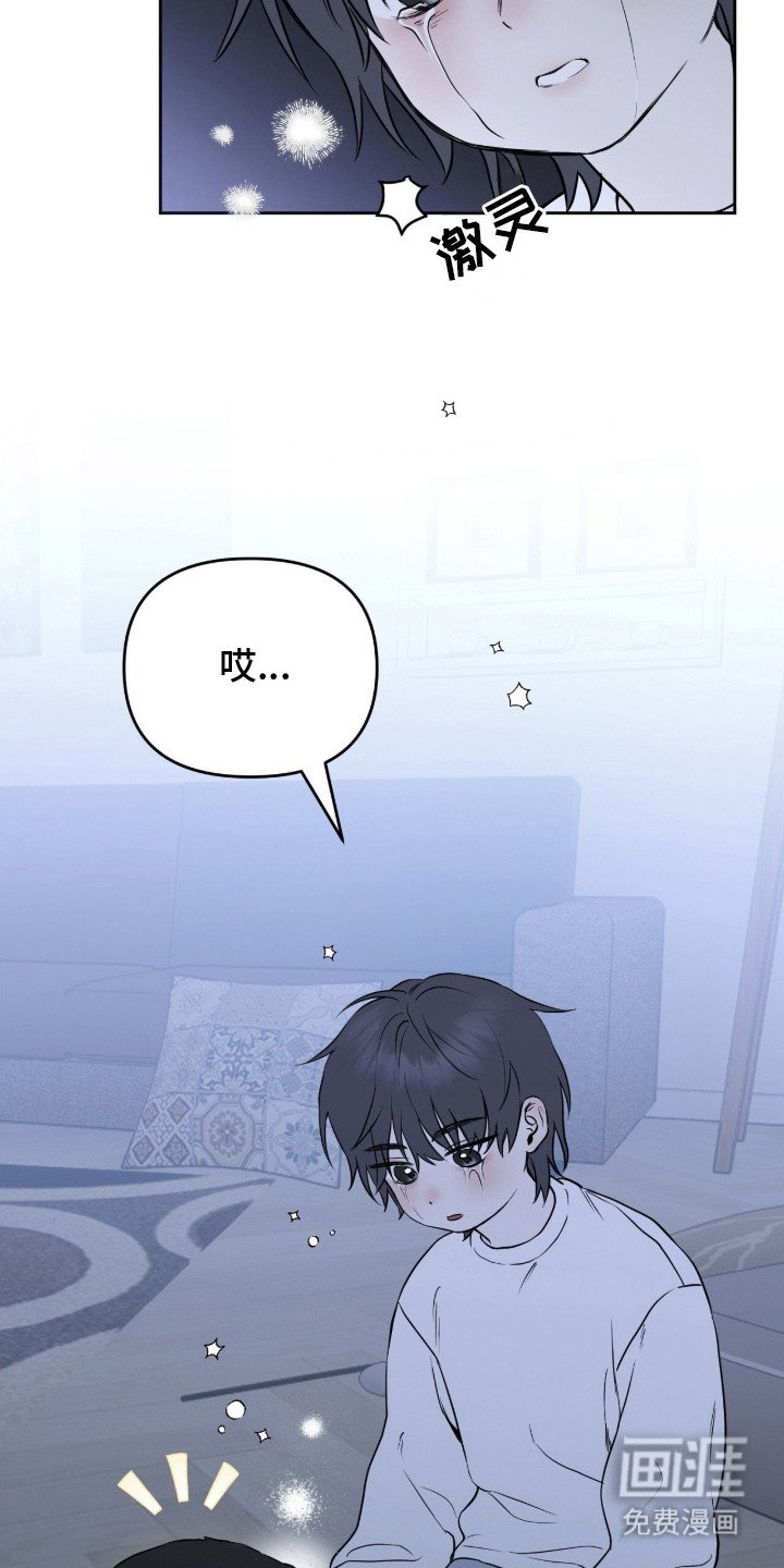 第2章：领养
