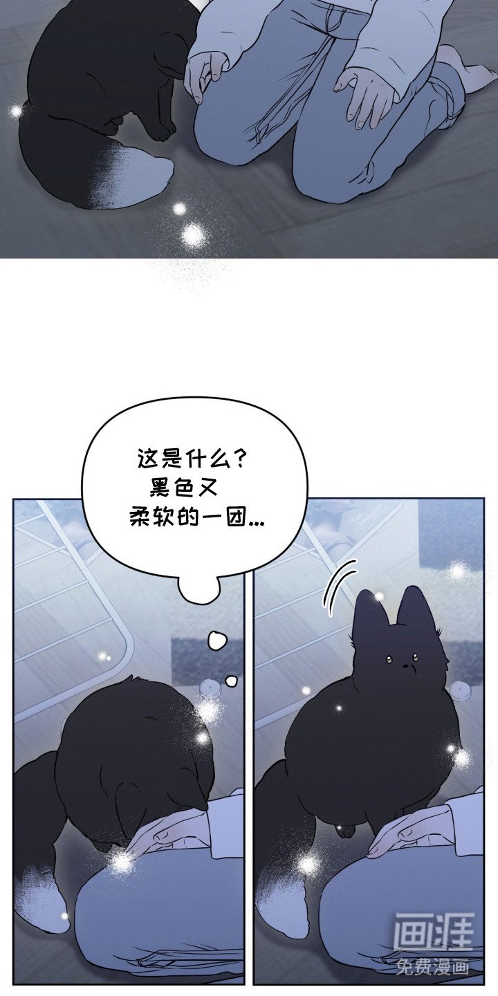 第2章：领养