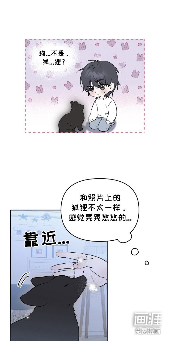第2章：领养